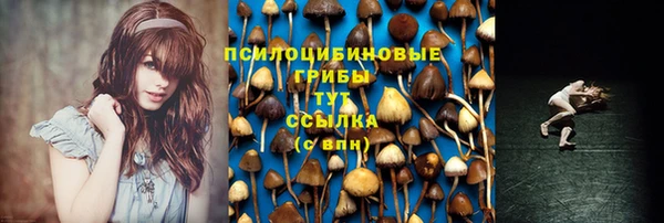 прущая мука Баксан