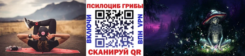купить   Борисоглебск  Псилоцибиновые грибы GOLDEN TEACHER 
